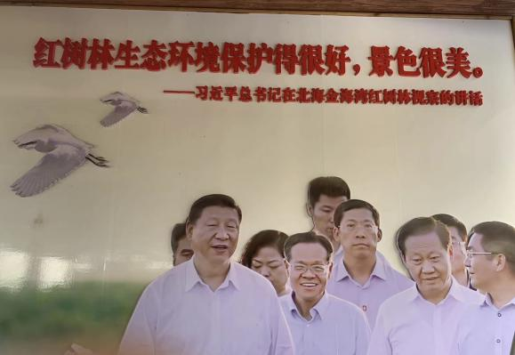 问鼎娱乐