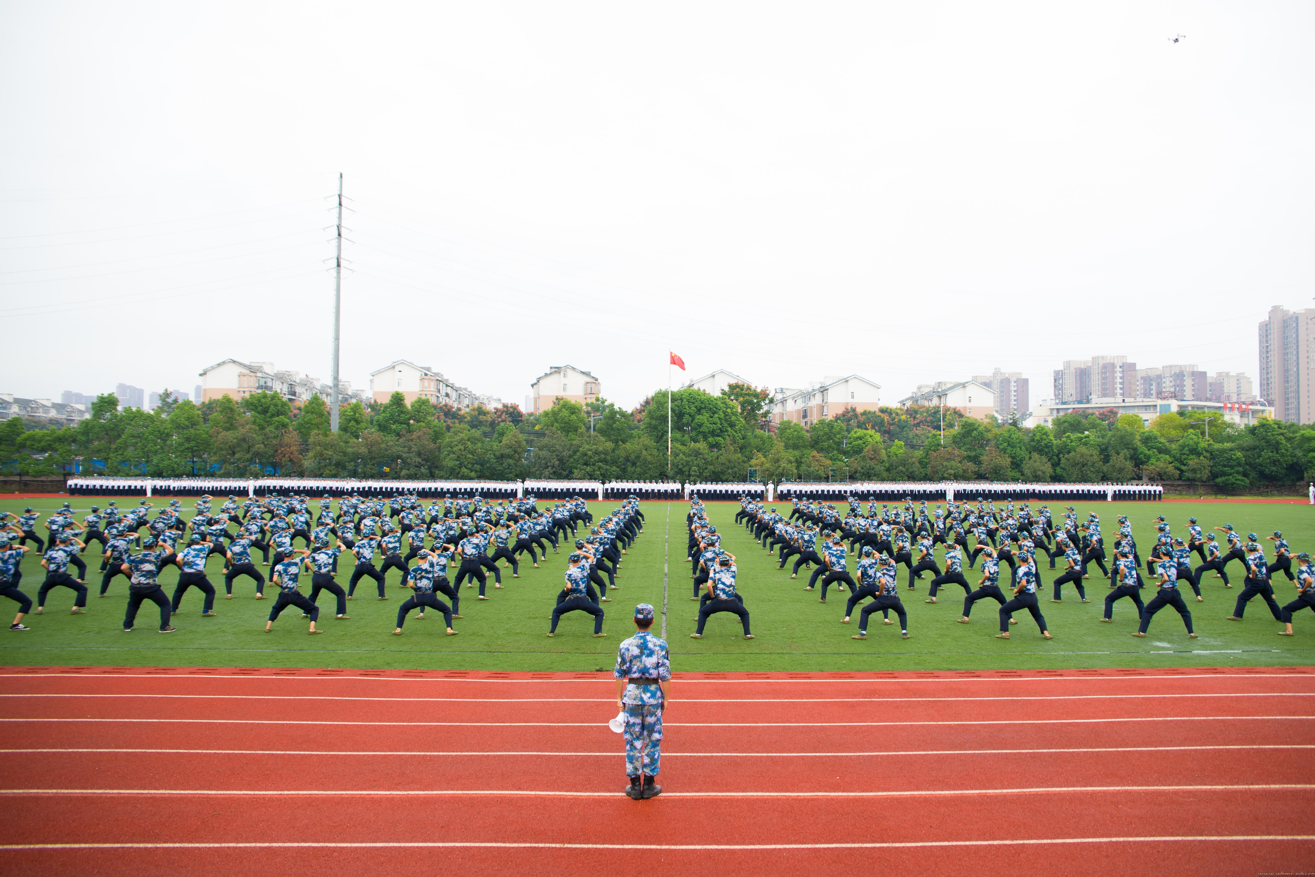 问鼎娱乐