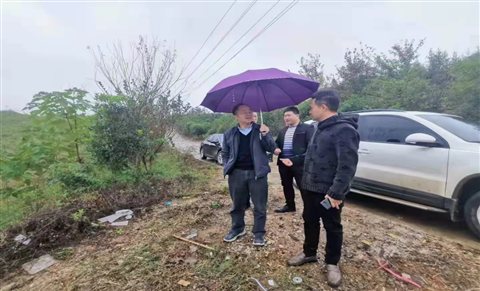 问鼎娱乐