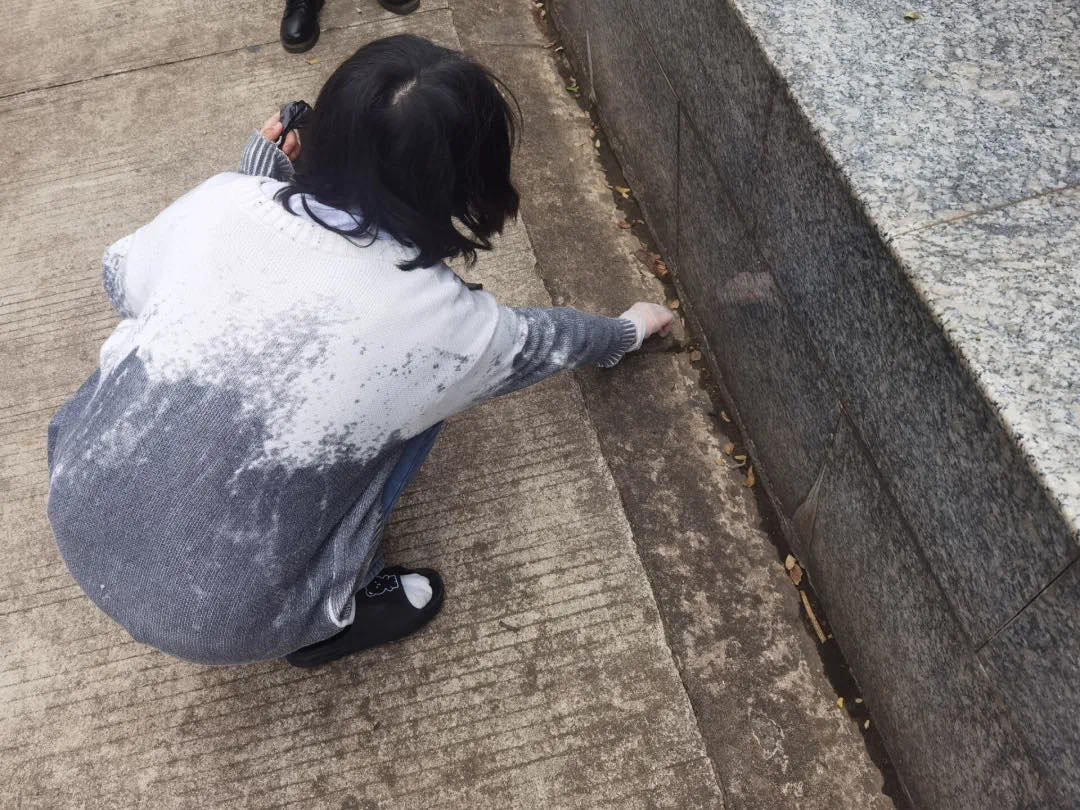 问鼎娱乐