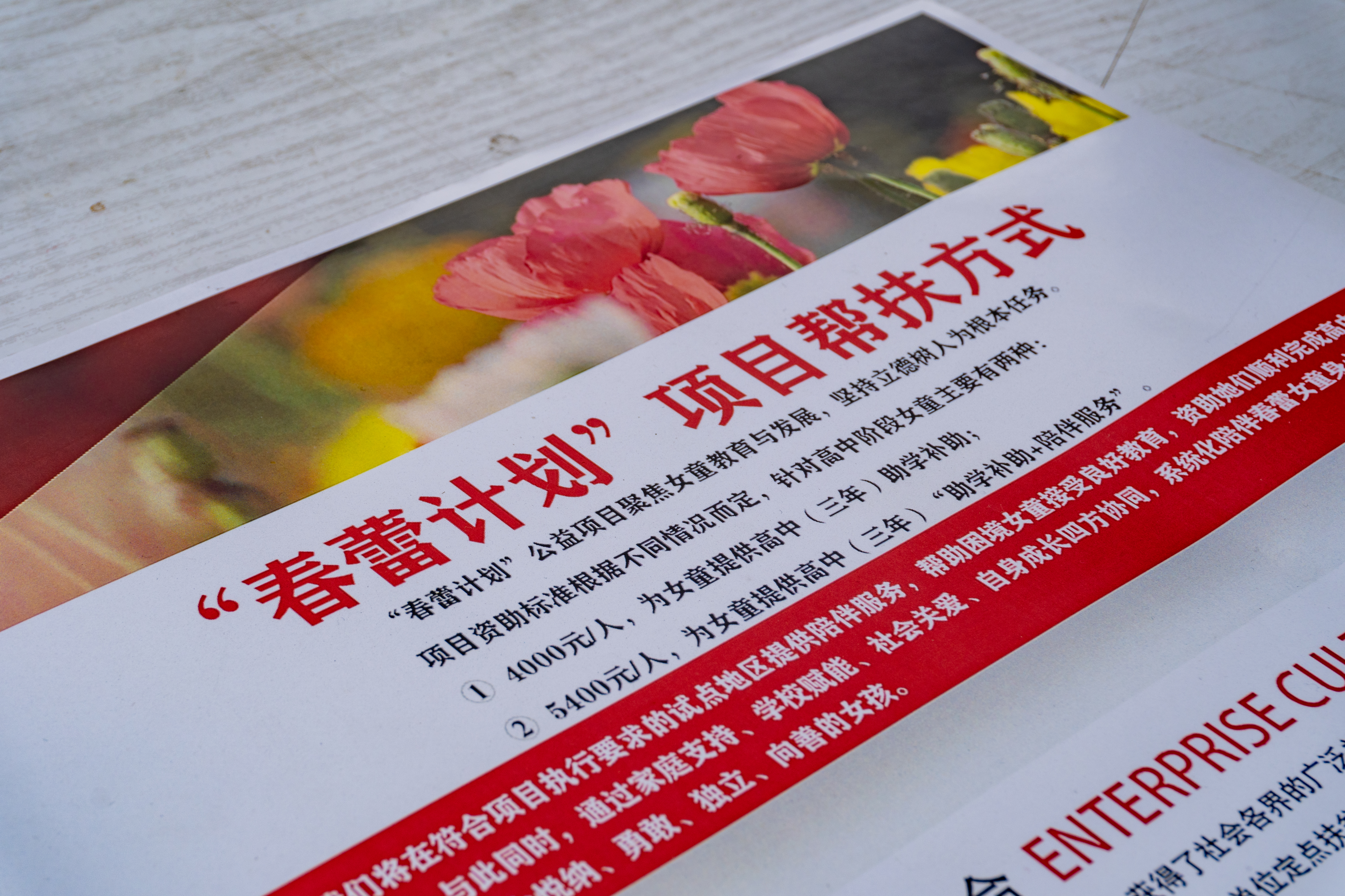 问鼎娱乐