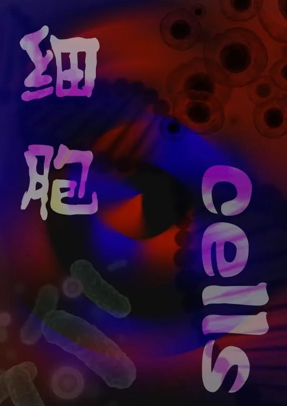 问鼎娱乐