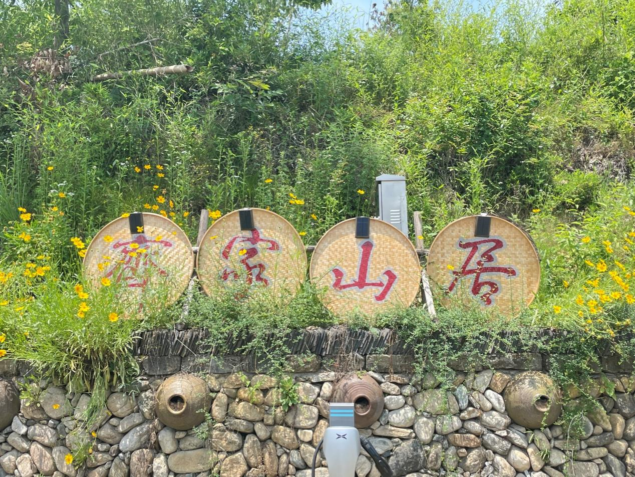 问鼎娱乐