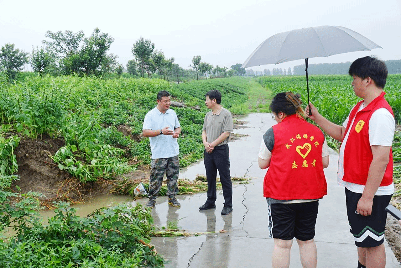 问鼎娱乐
