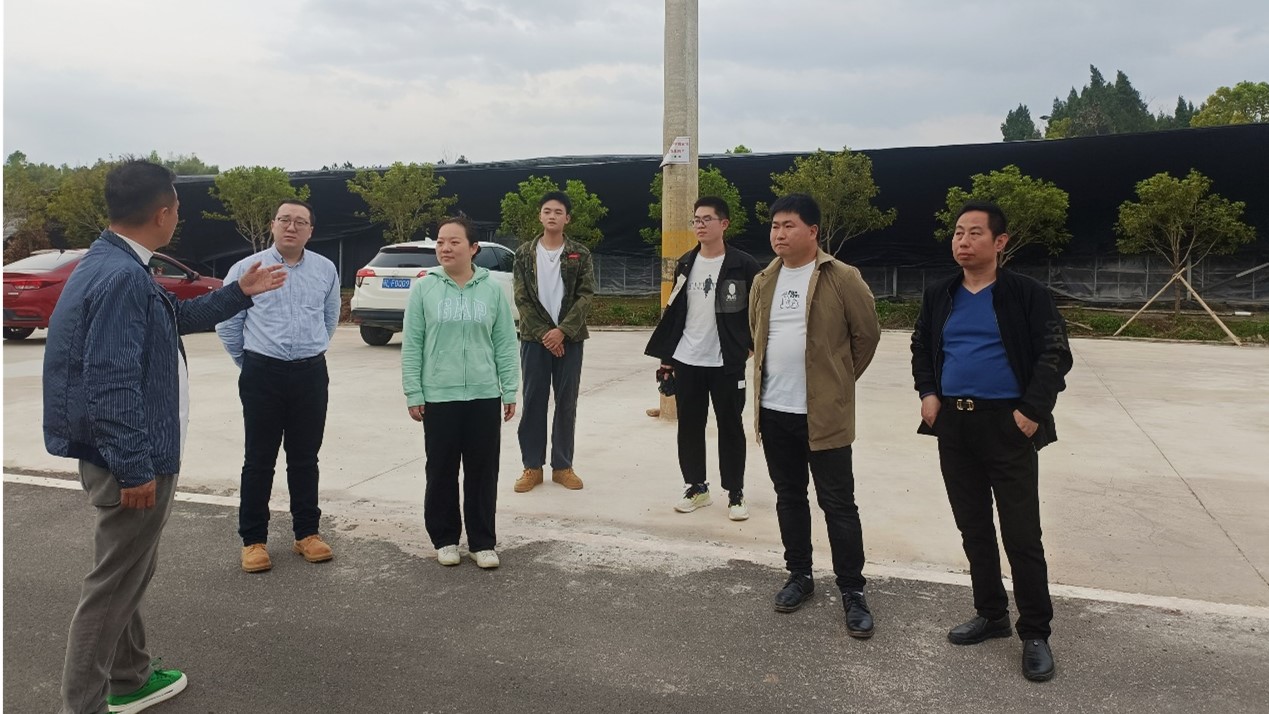 问鼎娱乐