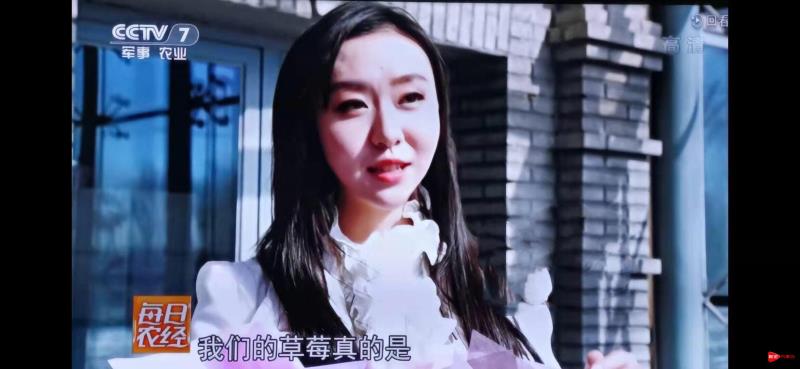 问鼎娱乐