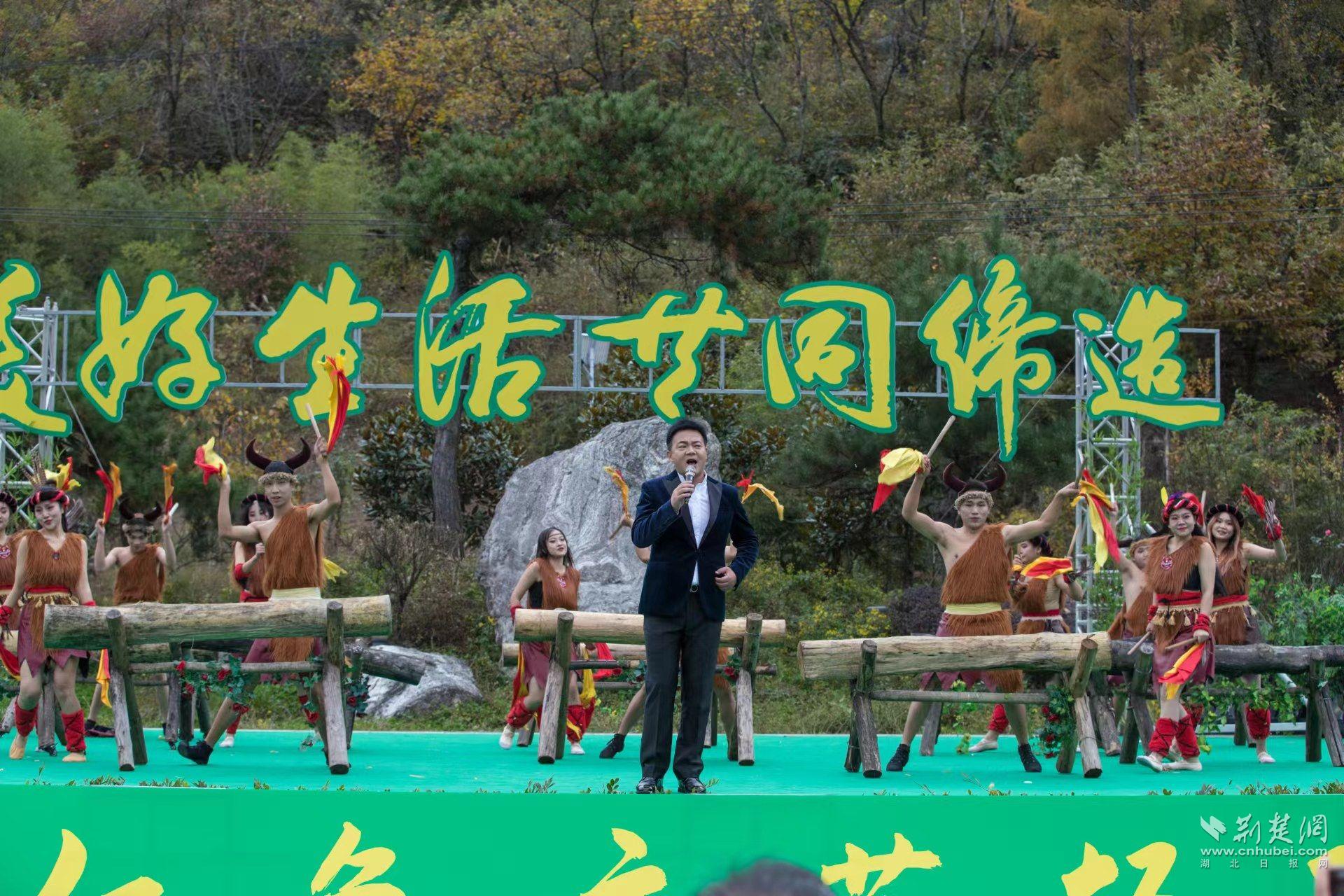 问鼎娱乐