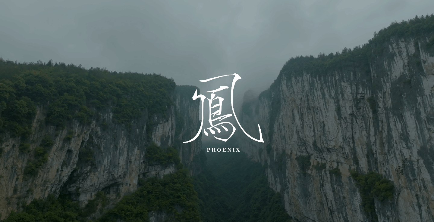 问鼎娱乐
