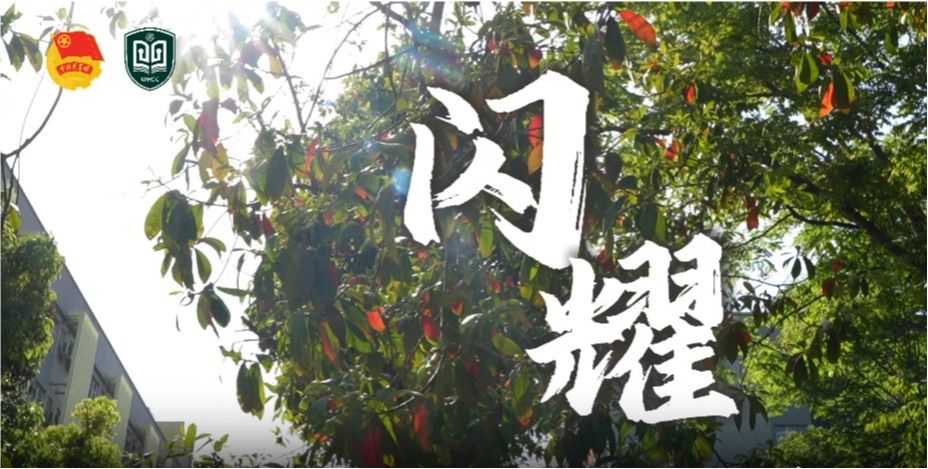 问鼎娱乐
