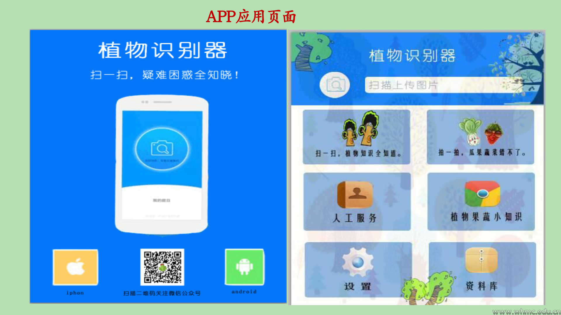 问鼎娱乐