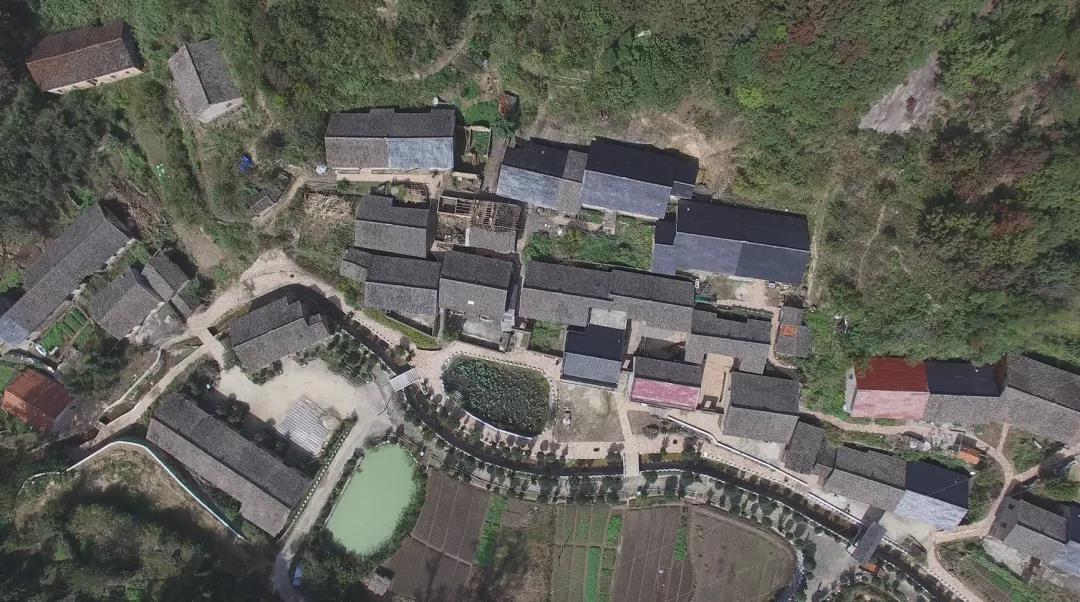 问鼎娱乐